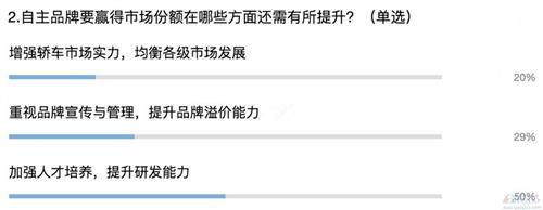 自主增幅连超合资   未来“逆袭”被市场看好