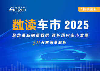 数读车市2025-5月销量解析