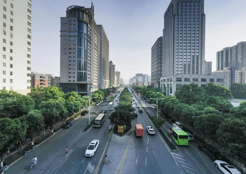 这座城，为何如此偏爱新能源车