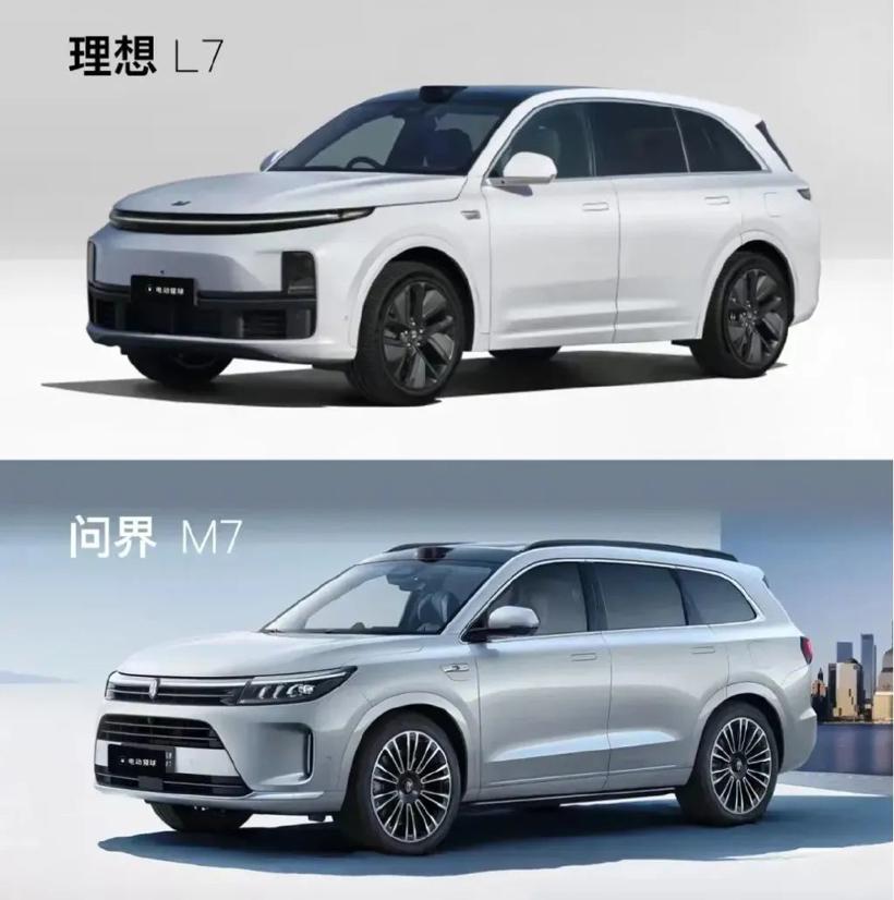 “大哥，谁还只搞纯电呀？”