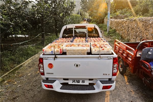 “高适配”皮卡 风骏5链接千行百业用户