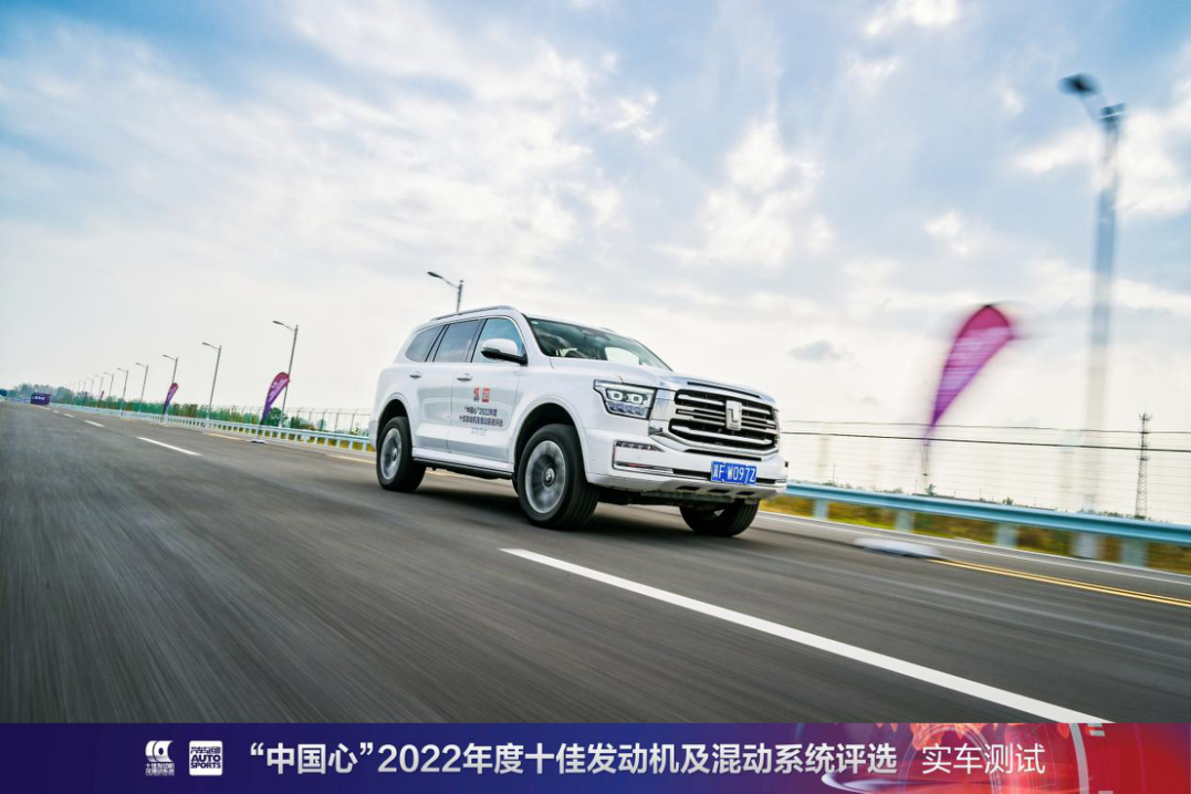 多种动力形式并存 2022