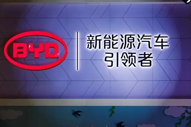 电池大厂冰火两重天：弗迪涝死，蜂巢旱死