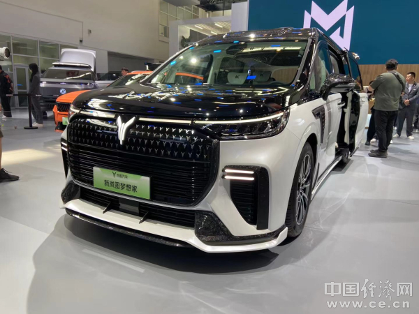 5月MPV：前十榜单自主过半，腾势、岚图加速国际化