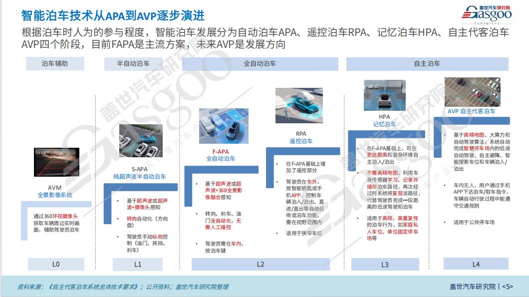 晓莺说：APA到AVP，谁主沉浮？